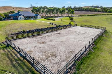 Farm For Sale - SA - Mount Compass - 5210 - Ultimate Family Retreat: 5-Bed Home with Equestrian Features  (Image 2)