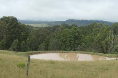 Farm For Sale - NSW - Bonalbo - 2469 - GOOD TO GROW  (Image 2)