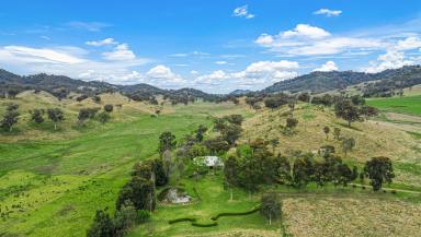 Farm For Sale - NSW - Loomberah - 2340 - Lifestyle & Acres close to Tamworth  (Image 2)