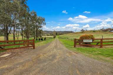 Farm For Sale - NSW - Loomberah - 2340 - Lifestyle & Acres close to Tamworth  (Image 2)