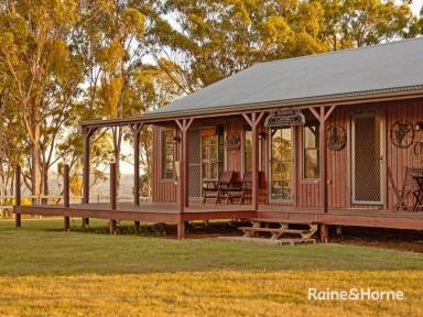 Farm For Sale - QLD - Killarney - 4373 - Country Living at its Finest with Excellent Equine Facilities  (Image 2)