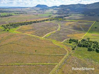 Farm For Sale - QLD - Swanfels - 4371 - 118.86 Acres Highly Productive Farming Country  (Image 2)