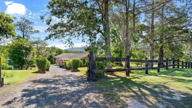 Farm For Sale - NSW - Wingham - 2429 - Neat as a pin | 5 acres in town  (Image 2)