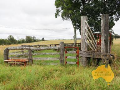 Farm For Sale - QLD - Yarraman - 4614 - Tranquil Acreage Living with Excellent Grazing Potential  (Image 2)