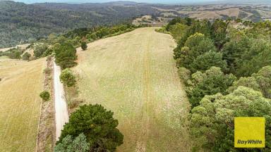 Farm For Sale - VIC - Toora North - 3962 - "The Runway"  (Image 2)