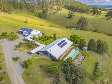 Farm Sold - NSW - Dungog - 2420 - Blackwattle Ridge Rural Lifestyle Dream  (Image 2)