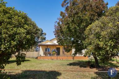 Farm For Sale - NSW - Young - 2594 - A BLANK CANVAS LIFESTYLE PROPERTY!  (Image 2)