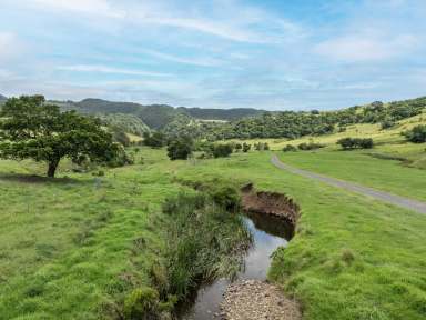 Farm For Sale - NSW - Rose Valley - 2534 - 'The Hill Block' - Escape to the Country  (Image 2)