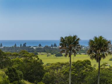 Farm For Sale - NSW - Rose Valley - 2534 - 'The Hill Block' - Escape to the Country  (Image 2)