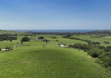 Farm For Sale - NSW - Rose Valley - 2534 - 'The Hill Block' - Escape to the Country  (Image 2)