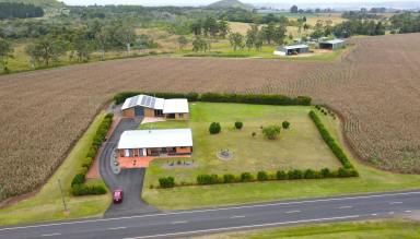 Farm For Sale - QLD - East Barron - 4883 - 4 BEDROOM HOME + GRANNY FLAT ON 10.34 ACRES  (Image 2)