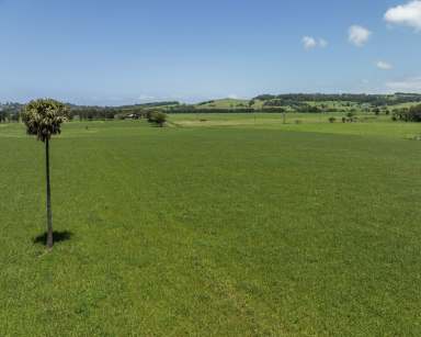 Farm Sold - NSW - Rose Valley - 2534 - 'Grasmere' - 40.07 ha of Prime Farming Land  (Image 2)