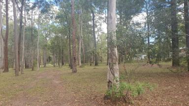 Farm For Sale - QLD - Blackbutt - 4314 - Build Your Dream on 4.74 Acres of Rural Bliss  (Image 2)
