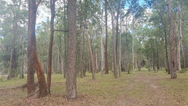 Farm For Sale - QLD - Blackbutt - 4314 - Build Your Dream on 4.74 Acres of Rural Bliss  (Image 2)