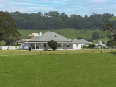 Farm For Sale - NSW - Rose Valley - 2534 - 'Alne Bank' Rose Valley  (Image 2)