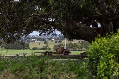 Farm For Sale - NSW - Rose Valley - 2534 - 'Alne Bank' Rose Valley  (Image 2)