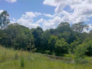 Farm For Sale - NSW - Cawongla - 2474 - Northern rivers flood free land and home  (Image 2)