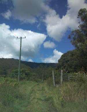 Farm For Sale - NSW - Cawongla - 2474 - Northern rivers flood free land and home  (Image 2)