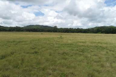 Farm Sold - QLD - The Leap - 4740 - Mackay acreage   First time being offered  for sale in over 80 plus years  (Image 2)