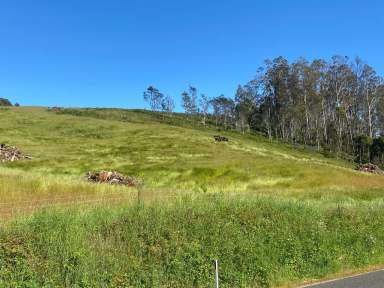 Farm For Sale - TAS - Mole Creek - 7304 - Birds Eye View  (Image 2)