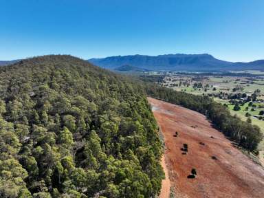 Farm For Sale - TAS - Mole Creek - 7304 - Birds Eye View  (Image 2)