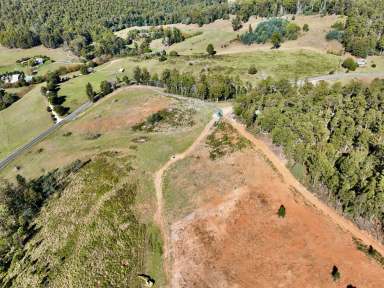 Farm For Sale - TAS - Mole Creek - 7304 - Birds Eye View  (Image 2)