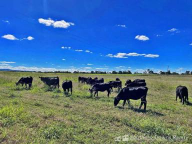 Farm For Sale - QLD - Wheatvale - 4370 - LOOKING FOR AFFORDABLE ACREAGE TO BUILD YOUR DREAM HOME ON?  (Image 2)