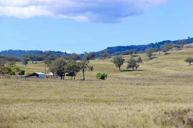 Farm For Sale - NSW - Willow Tree - 2337 - Picturesque with Farming & Grazing Balance  (Image 2)