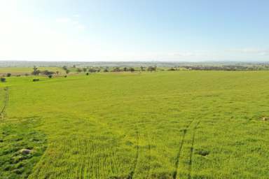 Farm For Sale - NSW - Young - 2594 - "Heart of the Hilltops" Mixed Farming Opportunity  (Image 2)