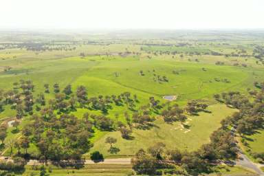 Farm For Sale - NSW - Young - 2594 - "Heart of the Hilltops" Mixed Farming Opportunity  (Image 2)