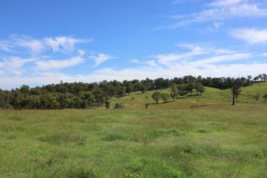 Farm For Sale - NSW - Canyonleigh - 2577 - 300 Acre Grazing Property  (Image 2)