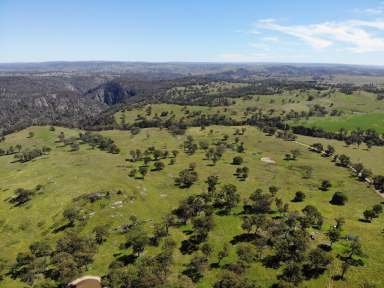 Farm For Sale - NSW - Canyonleigh - 2577 - 300 Acre Grazing Property  (Image 2)