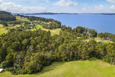 Farm For Sale - TAS - Middleton - 7163 - Level raised land by the sea  (Image 2)