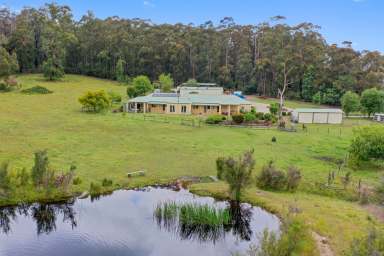 Farm For Sale - VIC - Labertouche - 3816 - The Ultimate Horse Trail Riding Rural Property  (Image 2)