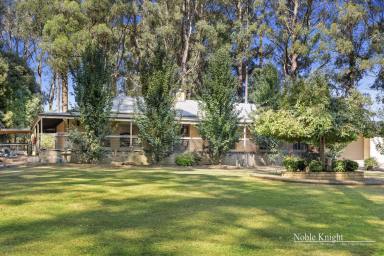 Farm For Sale - VIC - Toolangi - 3777 - Magical Mountain home on 4 Acres Approx  (Image 2)