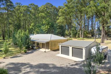 Farm For Sale - VIC - Toolangi - 3777 - Magical Mountain home on 4 Acres Approx  (Image 2)