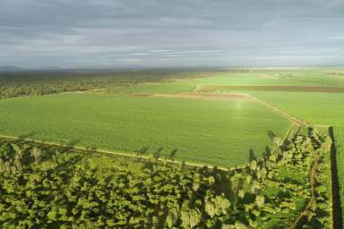 Farm Sold - QLD - Kirknie - 4806 - SOLD SOL SOLD SOLD SOLD SOLD      "Unmissable Auction Event: Your Gateway to Agricultural Prosperity!"  (Image 2)