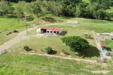 Farm For Sale - QLD - Mount Jukes - 4740 - Idyllic Grazing and Lifestyle and great location.  (Image 2)