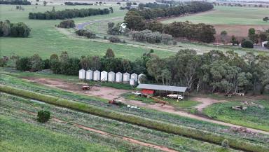 Farm For Sale - NSW - Coleambally - 2707 - Large Scale Irrigation Farming Aggregation - Coleambally NSW  (Image 2)