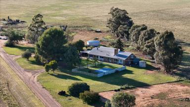 Farm For Sale - NSW - Coleambally - 2707 - Large Scale Irrigation Farming Aggregation - Coleambally NSW  (Image 2)