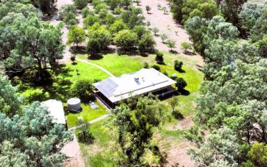 Farm For Sale - NSW - Moree - 2400 - Mehi River Oasis!  (Image 2)