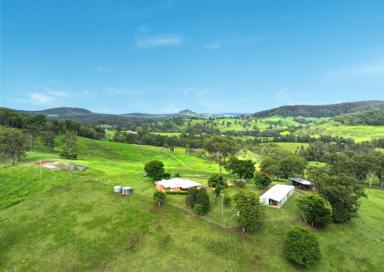 Farm For Sale - NSW - Kyogle - 2474 - "HARRINGTON"  (Image 2)