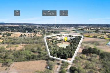 Farm For Sale - VIC - Tyabb - 3913 - Large-scale Commercial Poultry Farm with Modern Farmhouse  (Image 2)