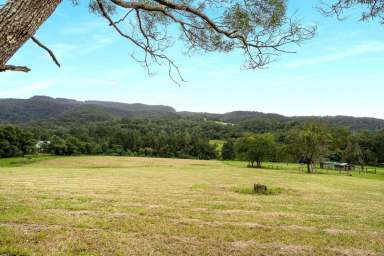 Farm For Sale - NSW - Bundewallah - 2535 - Dream, Design, Build  (Image 2)