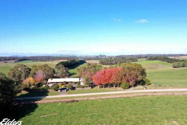 Farm For Sale - VIC - Woorarra East - 3962 - "PEACEFIELD" IN THE ROLLING HILLS  (Image 2)