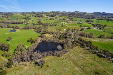 Farm For Sale - VIC - Sedgwick - 3551 - Stunning Views and that Country Dream  (Image 2)