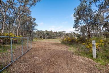 Farm For Sale - VIC - Sedgwick - 3551 - Stunning Views and that Country Dream  (Image 2)