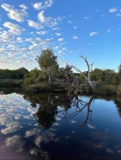 Farm For Sale - WA - Bowes - 6535 - Picturesque block 20 minutes from Geraldton!  (Image 2)