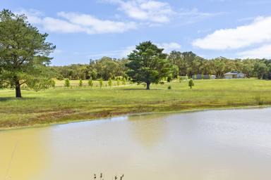 Farm For Sale - VIC - Ross Creek - 3351 - Fantastic family home on a wonderful 26 acres (Approx)  (Image 2)