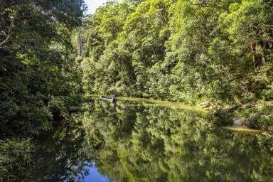Farm Sold - NSW - Bellingen - 2454 - Hidden Gem with Tranquil Surroundings and Kalang River Frontage  (Image 2)